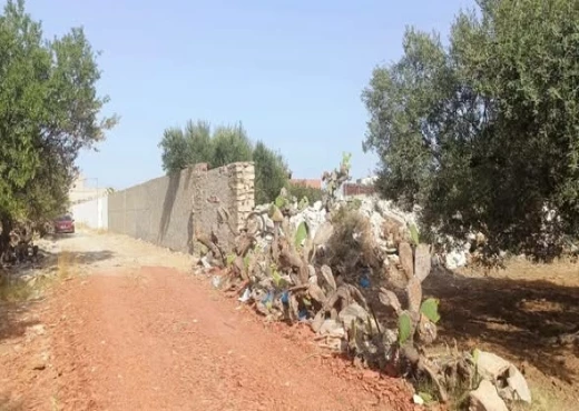 terrain À Vendre à MONASTIR - Terrain dans un quartier calme - Immobiliere.tn - Photo 3