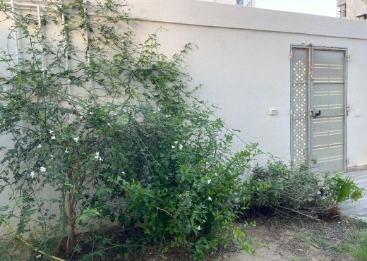 🏡 Maison meublée S+3 à Hergla