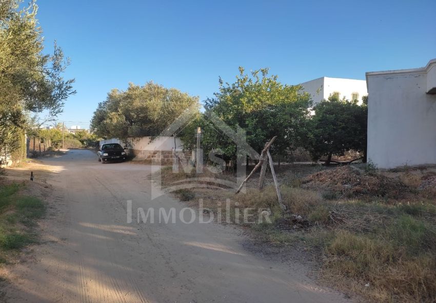 Terrain de 480 m² à vendre à Hammamet zone théâtre 51355351