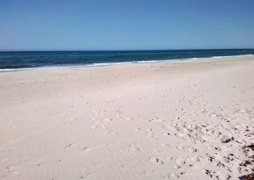 Opportunité intéressante