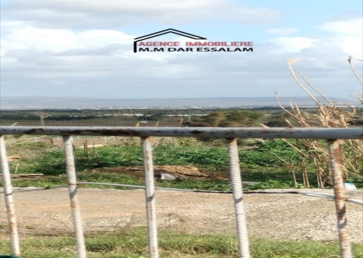 terrain À Vendre à NABEUL - terrain sur la route principal - Immobiliere.tn - Photo 3