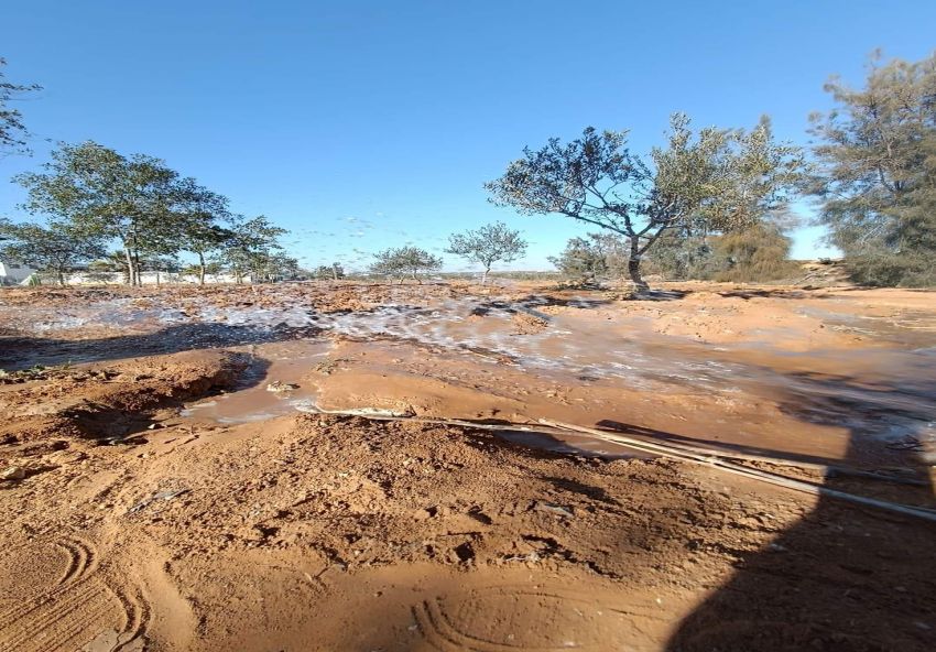 A vendre Ferme avec villa à Sfax Route Gremda