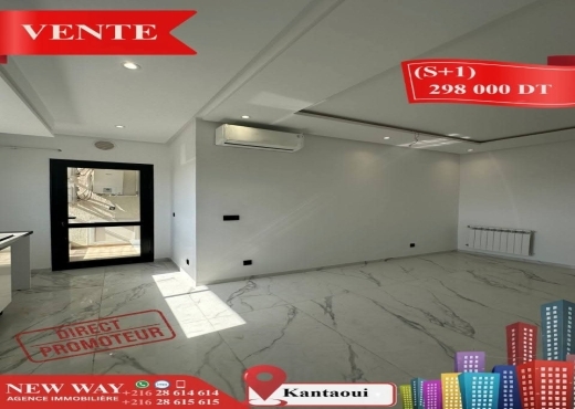 (S+1)direct promoteur à kantaoui