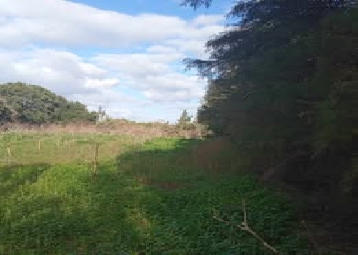 🌿 Terrain 1021 m² à Rafraf, Vue Mer