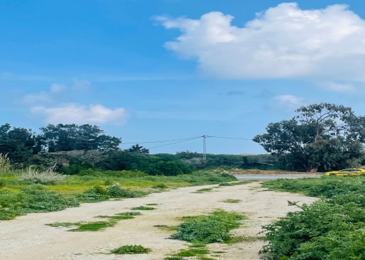 A Vendre Terrain à Kerkouene Kelib