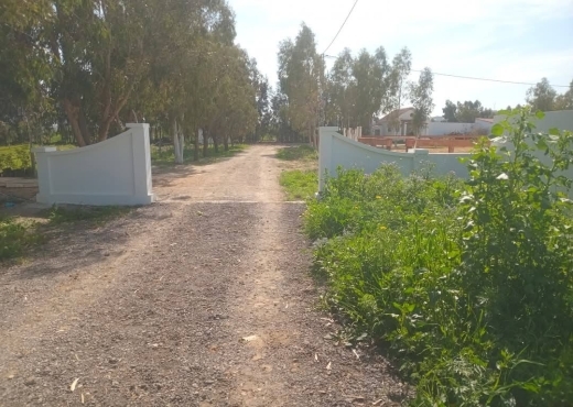 A vendre des lots de terrain à utique