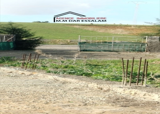 terrain À Vendre à NABEUL - terrain sur la route principal - Immobiliere.tn