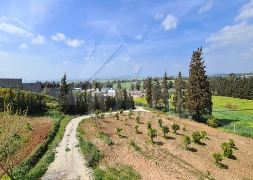 ferme À Vendre à ARIANA - AV Ferme avec Villa à Sidi Thabet - Immobiliere.tn - Photo 2