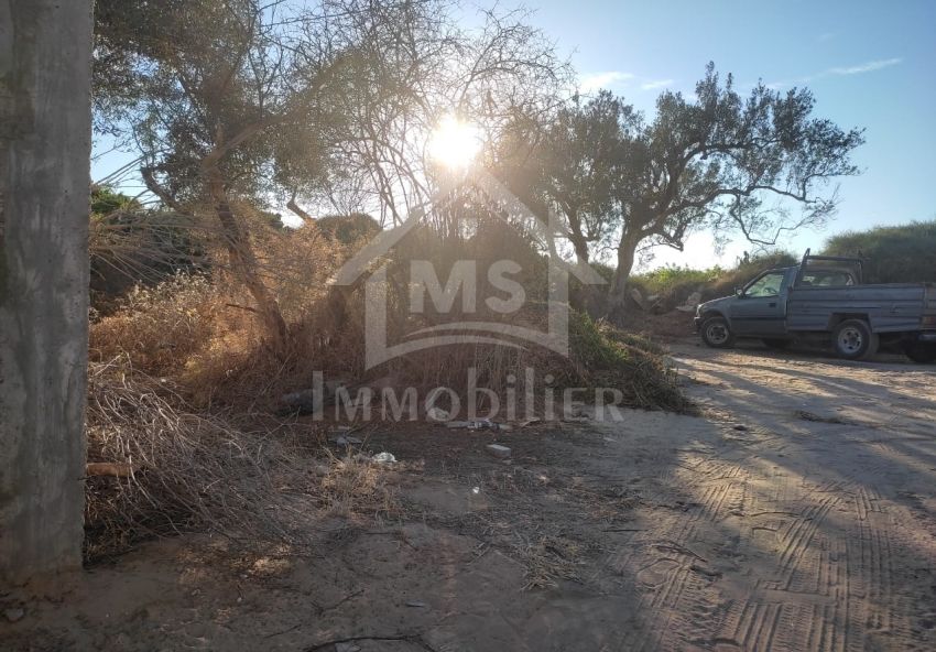 Terrain de 480 m² à vendre à Hammamet zone théâtre 51355351