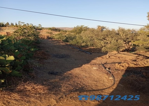 Grand terrain 6000 m² + 2 maisons à Béjou