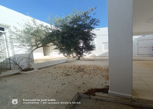 Deux maisons a vendre au centre ville elhaouaria