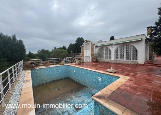 VILLA RENÉ Latrach Hammamet AL3685