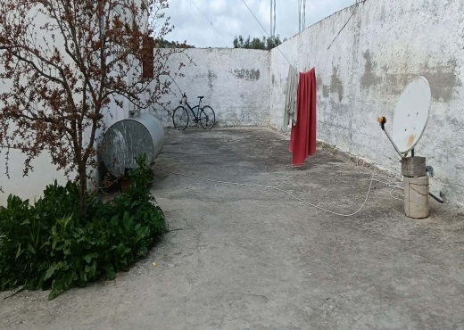 terrain À Vendre à ZAGHOUAN - terrain agricole à vendre +maison - Immobiliere.tn - Photo 6