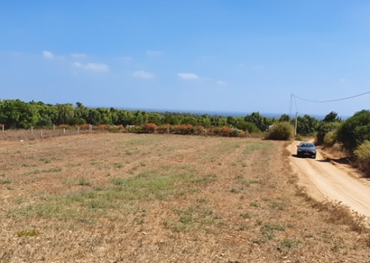 TERRAIN à Ezzahra Hammem ghzez174m