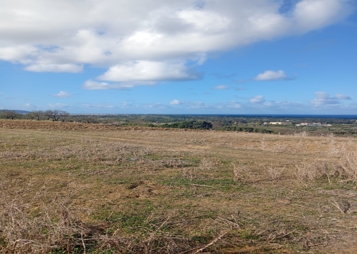 📍🌿 Terrain 2329 m² à Béjou – Ghar El Melh