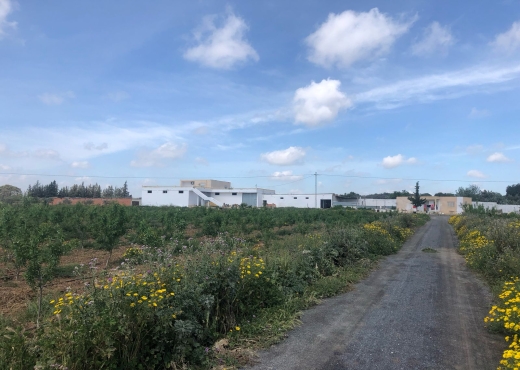 Ferme 10 hectares bir mcherga