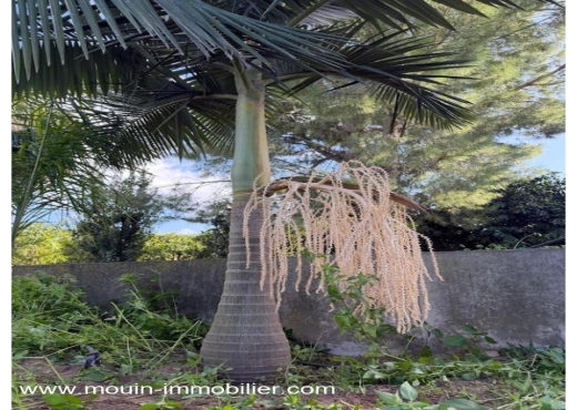 FERME BENI KHALLED 2 T1225