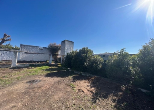 à vendre ferme