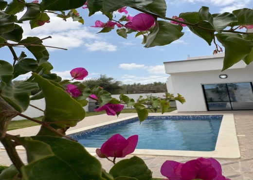 A Louer Villa pour vacance Djerba