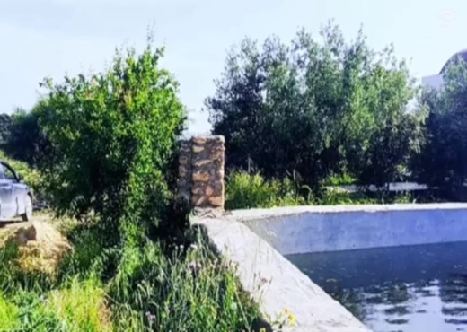 terrain À Vendre à ZAGHOUAN - terrain agricole à vendre - Immobiliere.tn