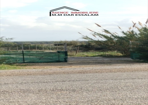 terrain À Vendre à NABEUL - terrain sur la route principal - Immobiliere.tn - Photo 2