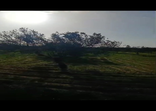 terrain À Vendre à ZAGHOUAN - TERRAIN AGRICOLE A VENDRE - Immobiliere.tn - Photo 3