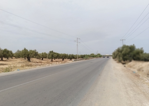 15000/للبيع: أرض صبغة صناعية/ فلاحية