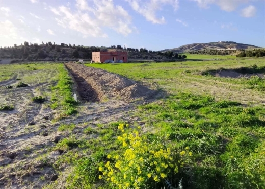 TERRAIN AGRICOLE A VENDRE