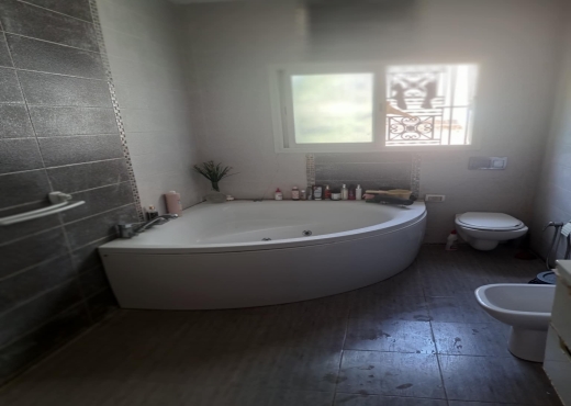joli villa à tunis