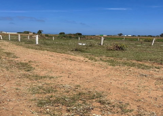 A Vendre Terrain à Dar Allouche