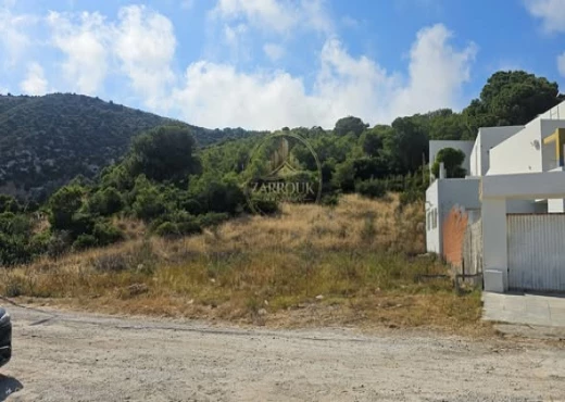 terrain À Vendre à BIZERTE - un terrain constructible - Immobiliere.tn - Photo 2