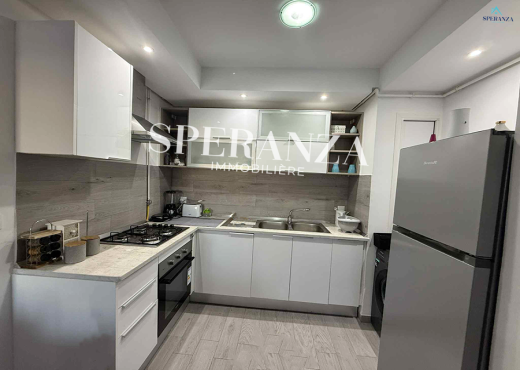 Location Appartement Celio S+3