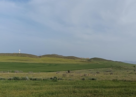 terrain