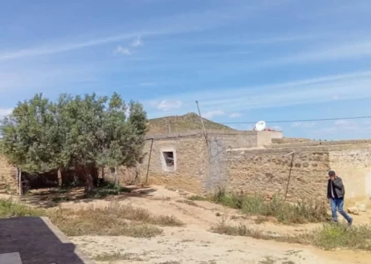 terrain À Vendre à SOUSSE - terrain agricole à vendre - Immobiliere.tn - Photo 4