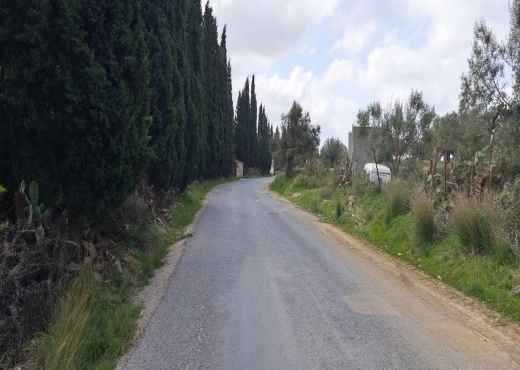 terrain À Vendre à MONASTIR - A vendre terrain agricole a Ksar Hlel - Immobiliere.tn - Photo 5