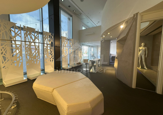 AL LOCAL COMMERCIAL AU LAC1