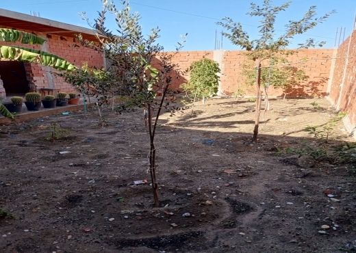 ✨ MAISON EN COURS DE CONSTRUCTION À VENDRE !