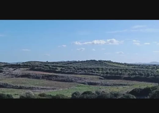 terrain À Vendre à ZAGHOUAN - société agricole à vendre - Immobiliere.tn - Photo 8