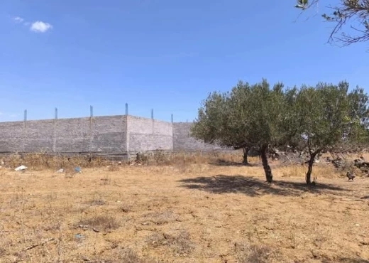 terrain À Vendre à MONASTIR - un terrain agricole - Immobiliere.tn - Photo 2