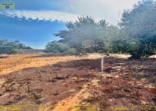 terrain À Vendre à NABEUL - 🌿 Terrain à vendre – Monchar, Hammamet Sud - Immobiliere.tn - Photo 2