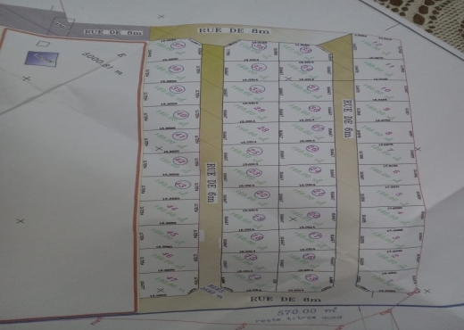 تقسيم خاص ببجاوة