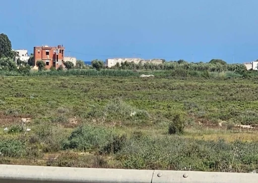terrain À Vendre à NABEUL - 300m a klm 71 hammamet sud - Immobiliere.tn