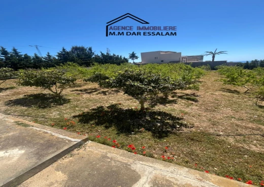 terrain À Vendre à NABEUL - terrain avec une vue agréable - Immobiliere.tn - Photo 6
