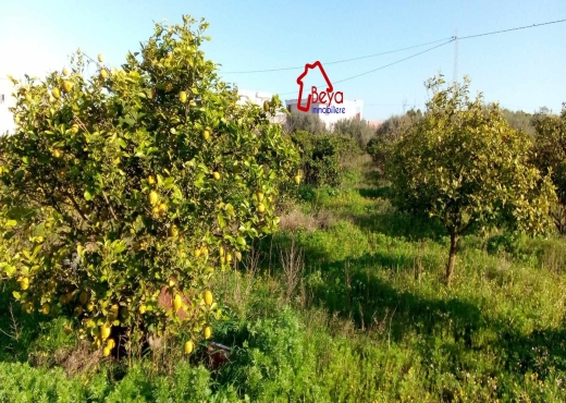 2 HECTARES clôturé