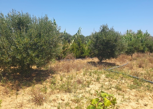 terrain a vendre