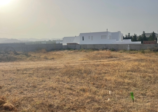 terrain a vendre a hammamet sud Monchar