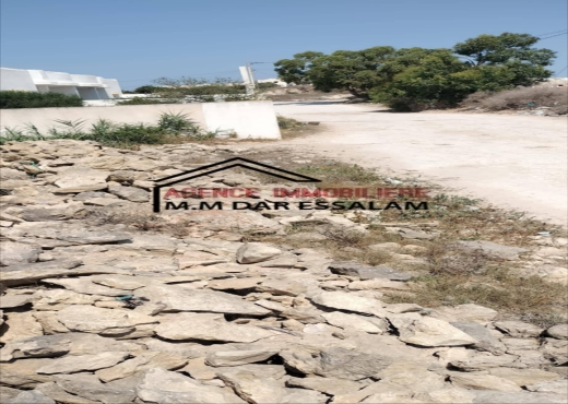 terrain près de la mer