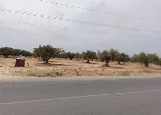 15000/للبيع: أرض صبغة صناعية/ فلاحية