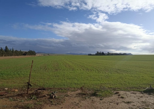 30 hectares pour  a tous les arbre