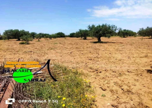 terrain À Vendre à SOUSSE - Terrain agricole a Sidi Bouali sou - Immobiliere.tn - Photo 5